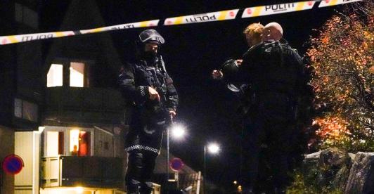 Noruega-Arco-Flecha.jpg