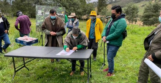 Pago-conservacion-ambiental.jpg