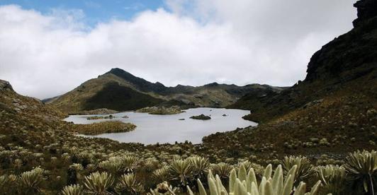 Paramo-santurban-vetas.jpg
