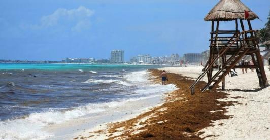 Playa-Ballenas-Mexico.jpg
