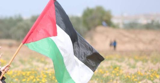 Por-izar-la-bandera-de-Palestina-le-retiraron-el-titulo-de-campeon-a-atleta-turco.jpg