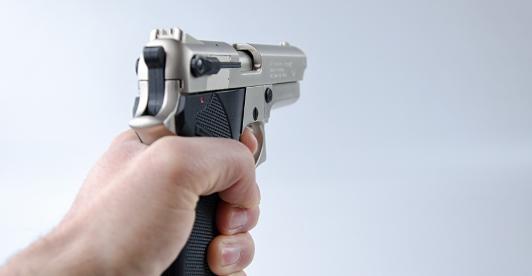 Proyecto_armas_ley.jpg