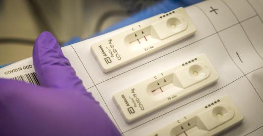 Prueba-PCR-1.jpg