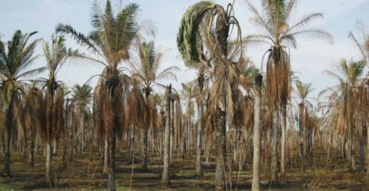Que-es-lo-que-mas-se-cultiva-en-La-Guajira.jpg