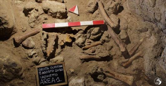 Restos_fosiles_neandertales.jpg