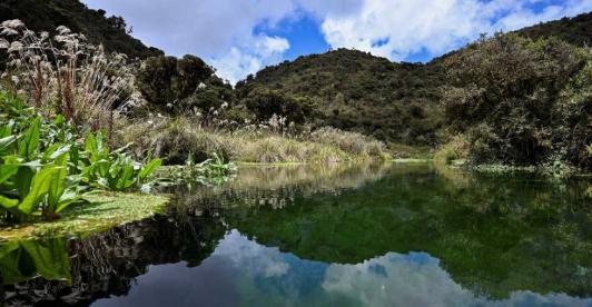 Retos_ambientales_2021-1.jpg