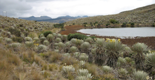 Senderos-Bogota-Cerros.png