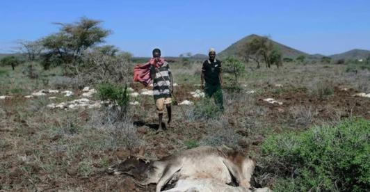 Sequia-en-Kenia-afecta-pastores.jpg