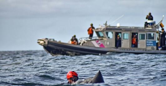 Solidarex-2023-conoce-el-encuentro-naval-que-entrena-ante-la-atencion-de-desastres.jpg