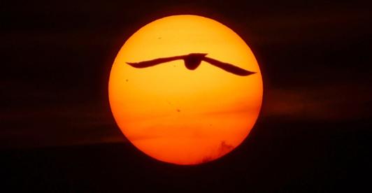 Solsticio-de-verano-2023-¿Cuando-y-a-que-hora-sera.jpg