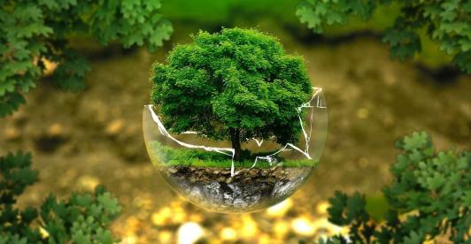 Tierra-ambiente-1.jpg