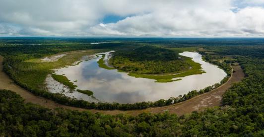 WWF-proyecto-supero-meta-de-creacion-de-hectareas-de-areas-protegidas.jpg