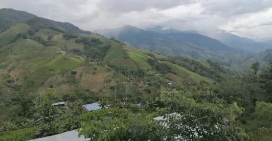 argelia-cauca-1.jpg
