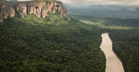 biodiversidad-oportunidad-competencia-WWF.jpg