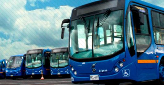 buses-sitp.jpg