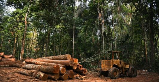 deforestacion-amazonia-brasil.jpg