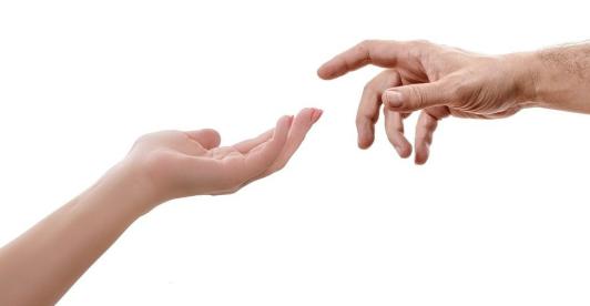 donacion-organos-1.jpg