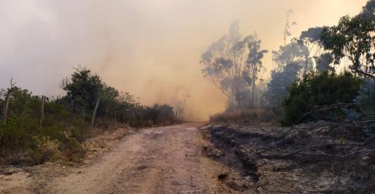 incendio-guatavita-1.jpg