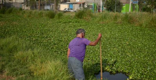 mexico_lago.jpg