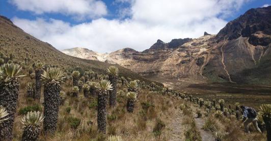 paramos-colombia.jpg