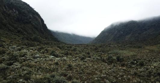 proyectos-ambientales.jpg