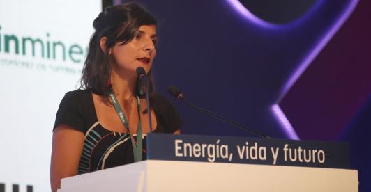 teoria-del-decrecimieto-minminas-2.jpg