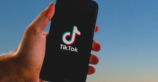 tiktok-5390055_1280.jpg
