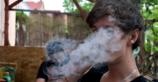 weed-837125_1280-1.jpg