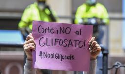 Retiran estudio que negaba riesgo cancerígeno del glifosato.