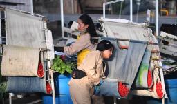 14 de febrero: plazo para consignar cesantías.