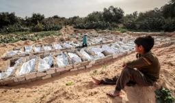 Encuesta independiente revela que las muertes por el genocidio en Gaza fueron más altas que las cifras oficiales