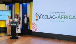 Cumbre de la Celac-África. / Foto: Vicepresidencia.