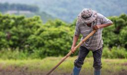 Más de 1,8 millones de hectáreas devueltas: la reforma agraria le cambia la vida a medio millón de víctimas del conflicto
