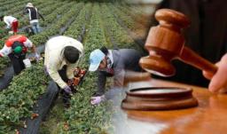Firmantes de paz piden al Congreso para que apruebe la Jurisdicción Agraria, una deuda histórica con el campo colombiano