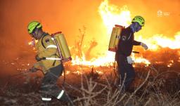 Una colilla, una fogata, un desastre: así puede prevenir incendios forestales