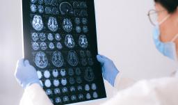 Cerca de 65 mil estudiantes con crédito del ICETEX tendrán desde octubre un alivio en los intereses