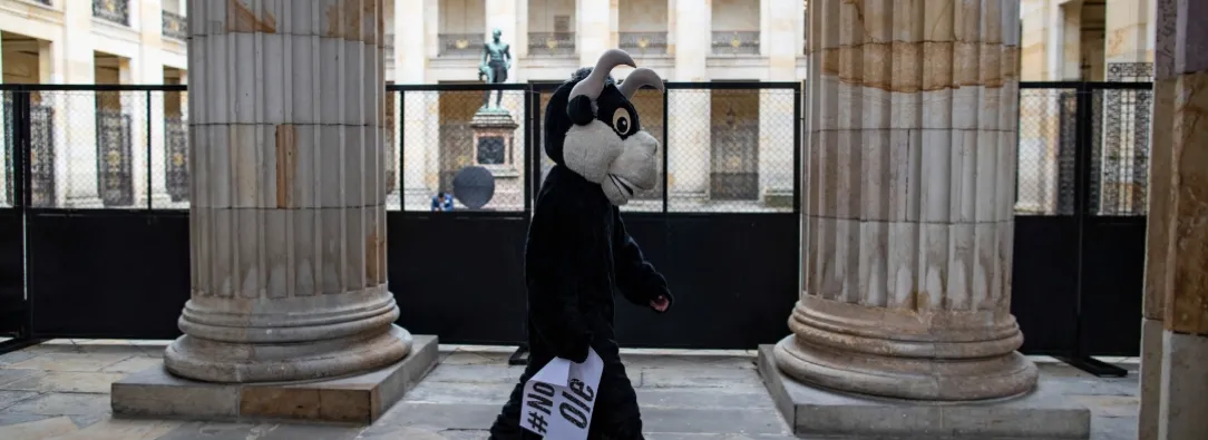 Corridas de toros en Colombia.
