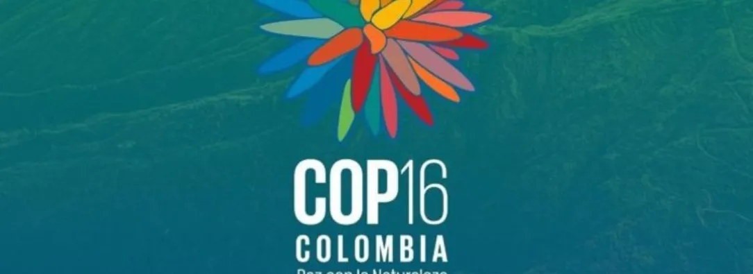 Refuerzan seguridad en la COP16 en Cali. / Foto: X COP16 Colombia.