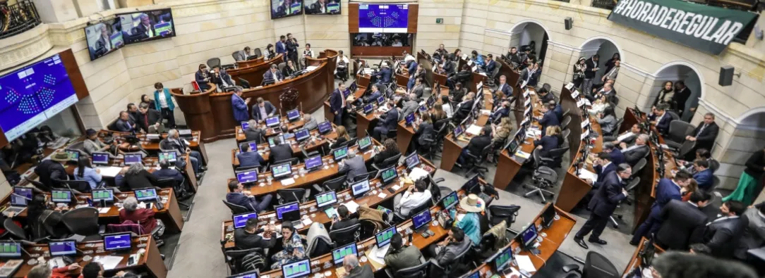 Ley estatutaria de educación se hundió en el Congreso. / Foto: AFP.