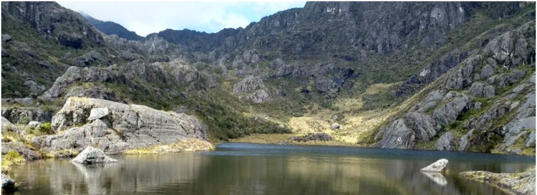 ¡Páramos, a salvo! Colombia gana otro litigio en Santurbán contra minera canadiense