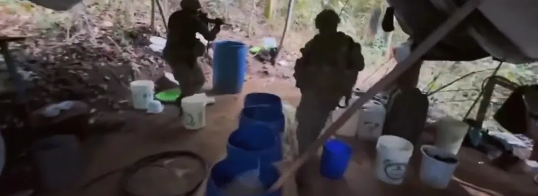 Desmantelan laboratorios para el procesamiento de cocaína en Chinácota, Norte de Santander