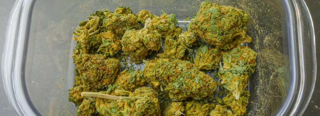 Brasil despenaliza la posesión de marihuana; ¿a cuánto equivale 40 gramos?