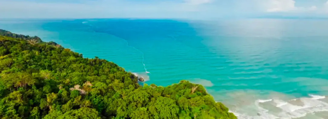 ¿Cómo será el tren transoceánico que propone construir el presidente Petro en el Darién?