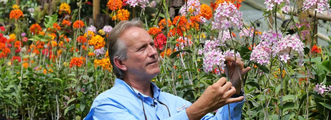 Daniel Piedrahita y sus orquídeas