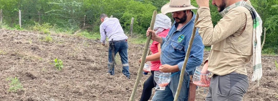 Movilización campesina 20 de julio por la reforma agraria. / Foto: X Agenda Nacional Campesina.