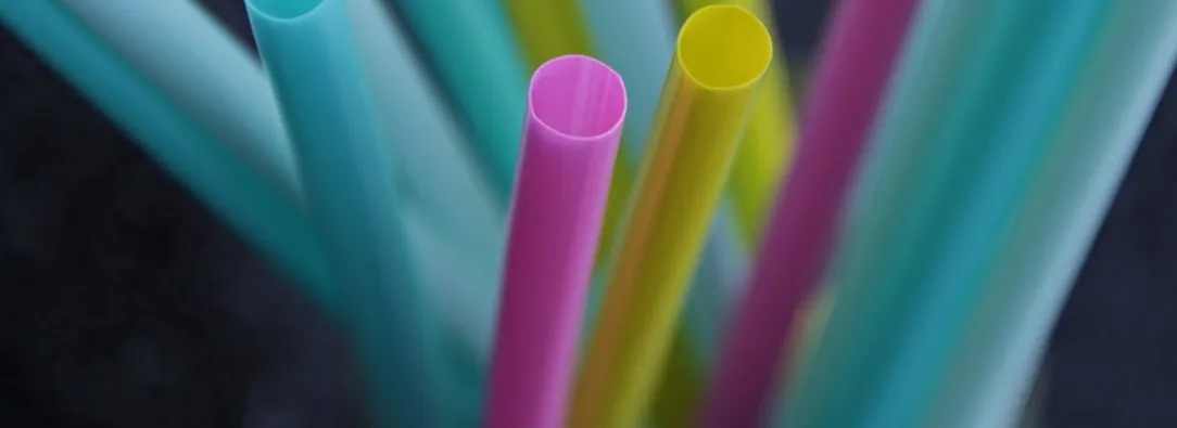 Plásticos de un solo uso. / Foto: Pixabay.