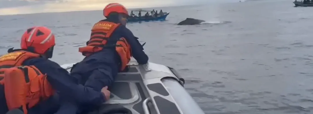 Imágenes del rescate de la segunda ballena en el parque Bahía Solano.