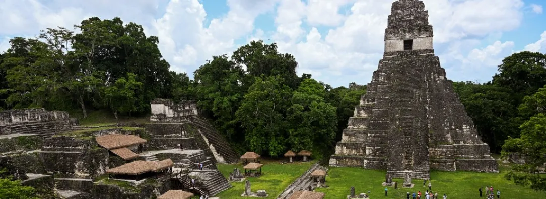 De la Amazonía a la selva maya: Colombia y Guatemala se unen para conservar el bosque