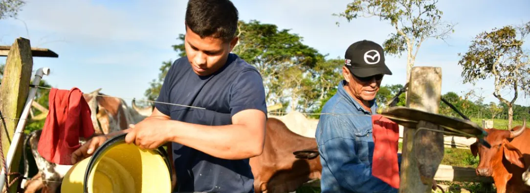 Gobierno impulsa industria láctea con inversión económica a familias campesinas