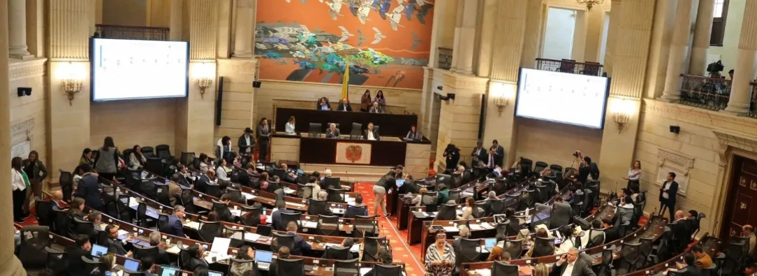 Senador Inti Asprilla denunció ausentismo. / Foto: X Senado.